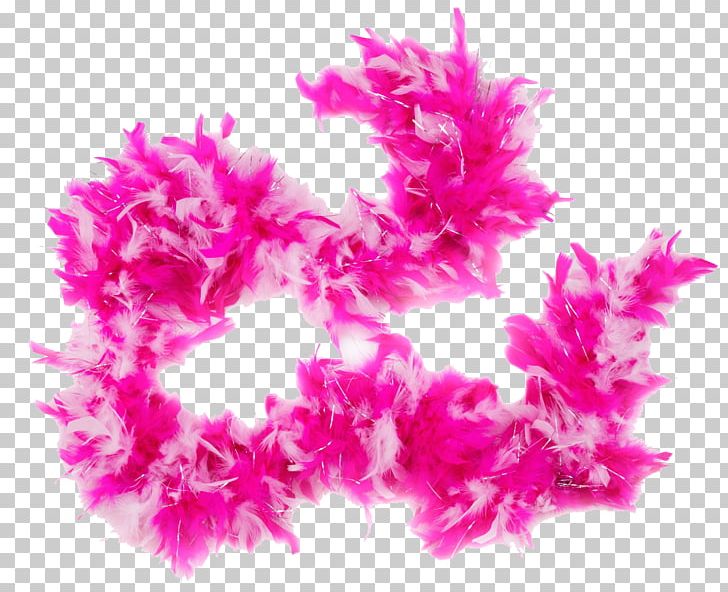 Feather Boa Pink Party PNG, Clipart, Animals, Boa, Color, Feather, Feather Boa Free PNG Download