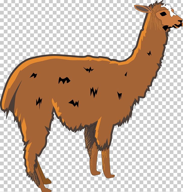 Llama Alpaca PNG, Clipart, Alpaca, Camel Like Mammal, Cartoon, Cattle Like Mammal, Download Free PNG Download