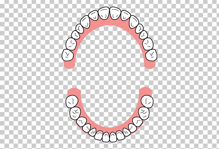 Molar Dentistry Dental Extraction Wisdom Tooth PNG, Clipart, 1st Family Dental Of Addison, Auto Part, Body Jewelry, Circle, Dental Braces Free PNG Download