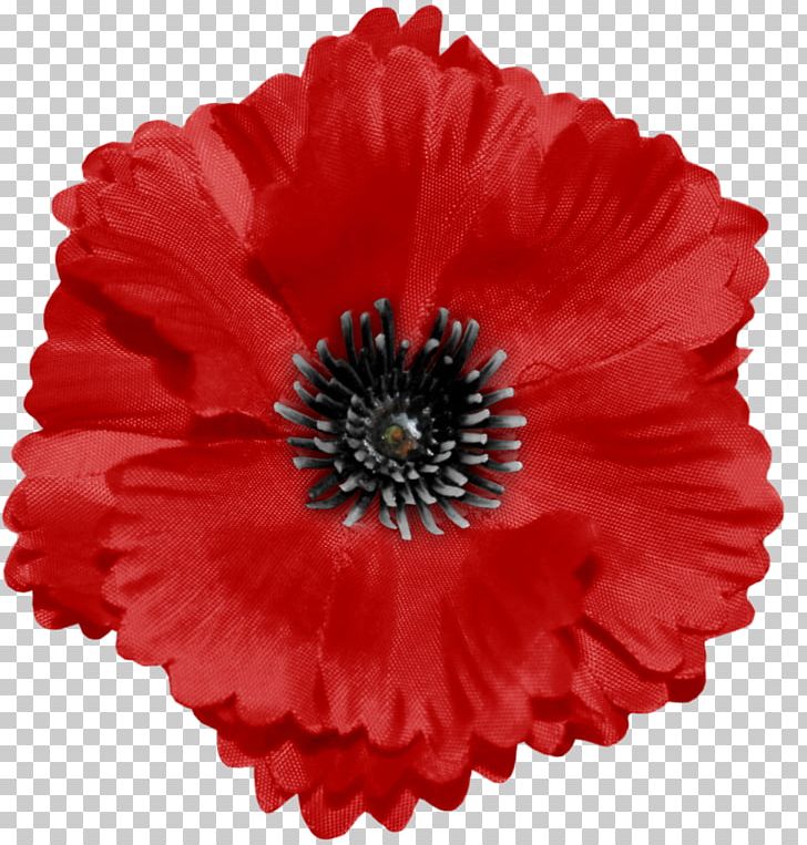 Remembrance Poppy Armistice Day Barrette Flower PNG, Clipart, Anemone, Annual Plant, Armistice Day, Barrette, Clothing Accessories Free PNG Download