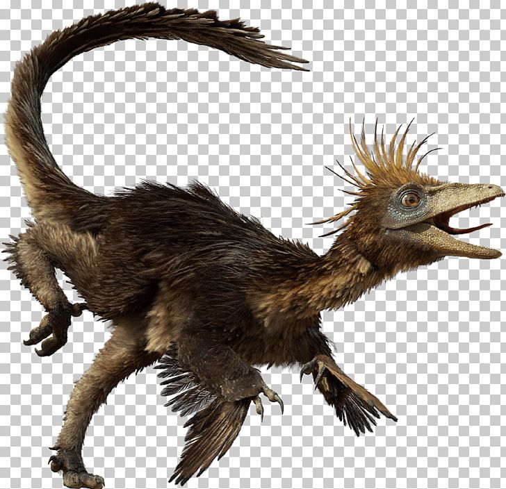 Troodon Velociraptor Dromaeosaurus Edmontosaurus Gorgosaurus PNG, Clipart, Death Of A Dynasty, Dinosaur, Dinosaur Planet, Dromaeosaurus, Edmontosaurus Free PNG Download