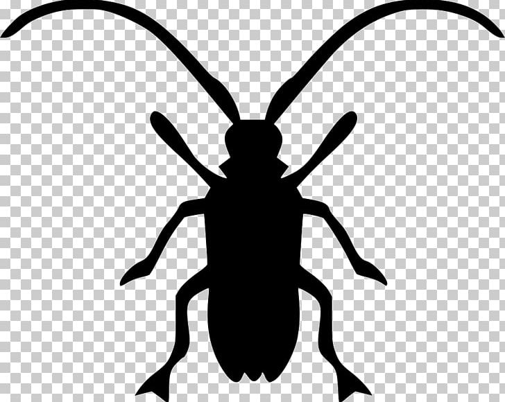 Asian Long-horned Beetle Longhorn Beetle Computer Icons PNG, Clipart, Animals, Arthropod, Artwork, Asian Longhorned Beetle, Beatle Free PNG Download