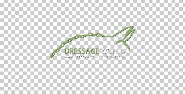 Brand Logo Leaf Font PNG, Clipart, Ask Me, Brand, Dressage, Grass, Green Free PNG Download