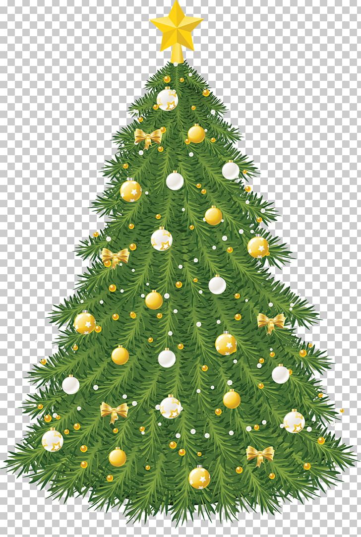 Christmas Ornament Christmas Tree PNG, Clipart, Christmas, Christmas Decoration, Christmas Ornament, Christmas Tree, Conifer Free PNG Download