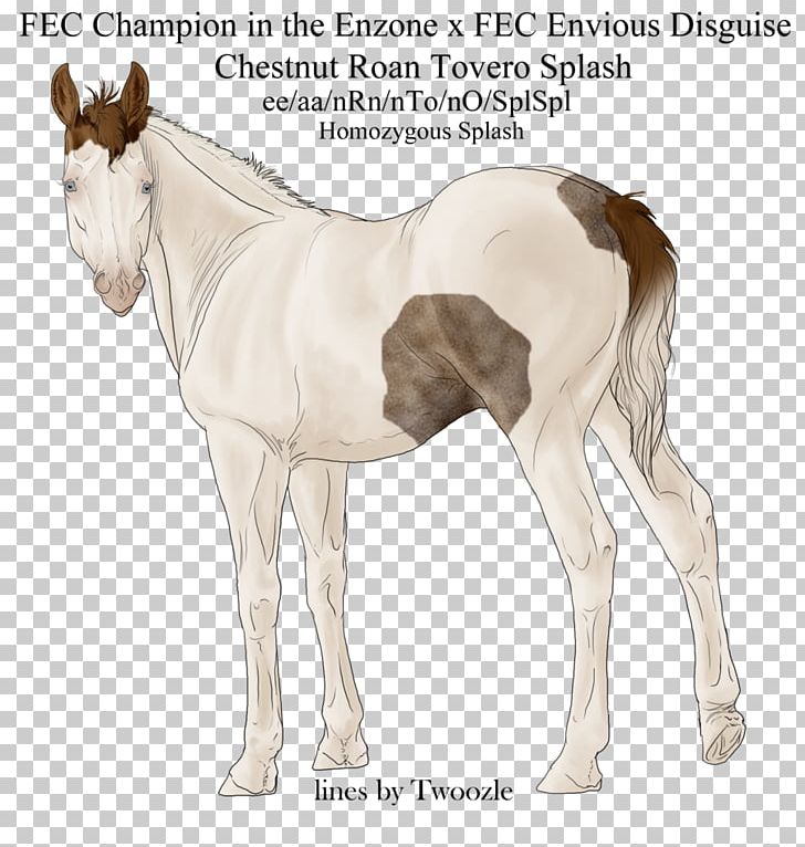 Colt Foal Mustang Stallion Mare PNG, Clipart, Colt, Foal, Halter, Horse, Horse Like Mammal Free PNG Download