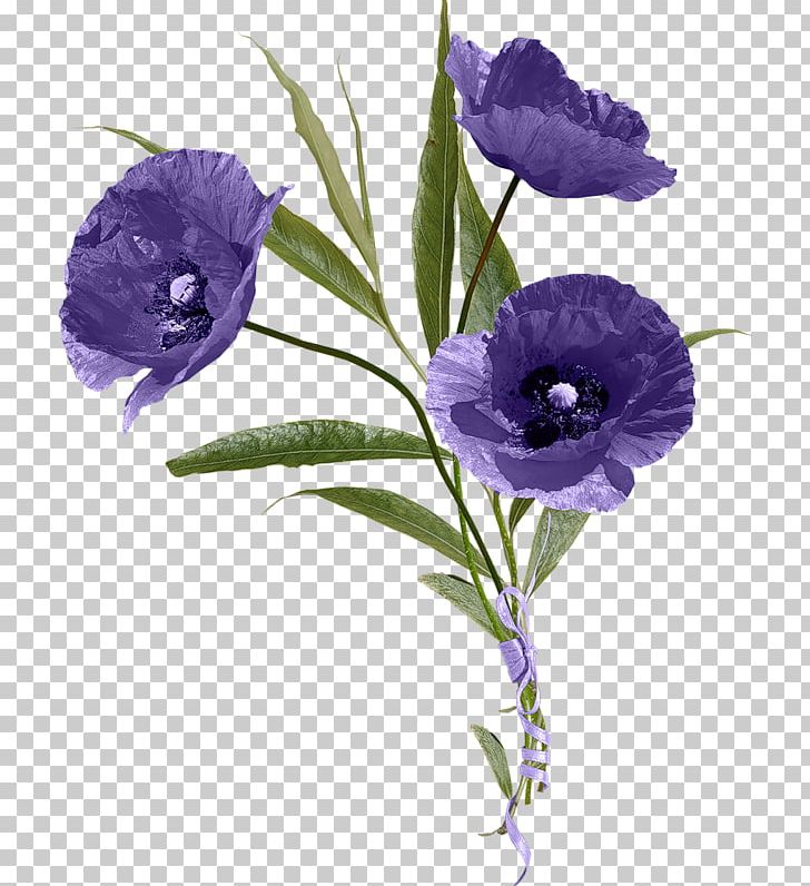 Flower Digital PNG, Clipart, Anemone, Annual Plant, Bellflower Family, Blue, Cut Flowers Free PNG Download