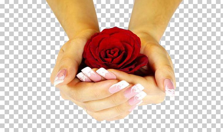 Flower Rose Hand Color PNG, Clipart, Art, Art Deco, Color, Creative, Finger Free PNG Download