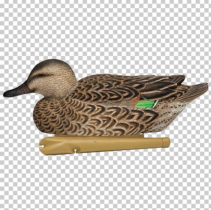 Mallard Duck Goose Decoy Eurasian Teal PNG, Clipart, Animals, Anseriformes, Beak, Bird, Canada Goose Free PNG Download