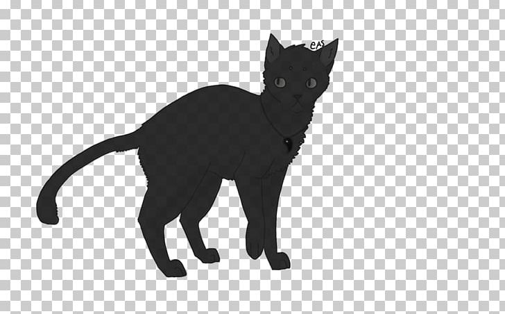 Bombay Cat Korat Black Cat Kitten Domestic Short-haired Cat PNG, Clipart, Animals, Black, Black And White, Black Cat, Black M Free PNG Download