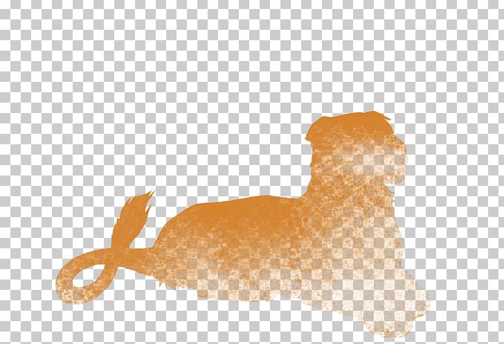 Dog Canidae Snout Carnivora Animal PNG, Clipart, Animal, Animals, Canidae, Carnivora, Carnivoran Free PNG Download