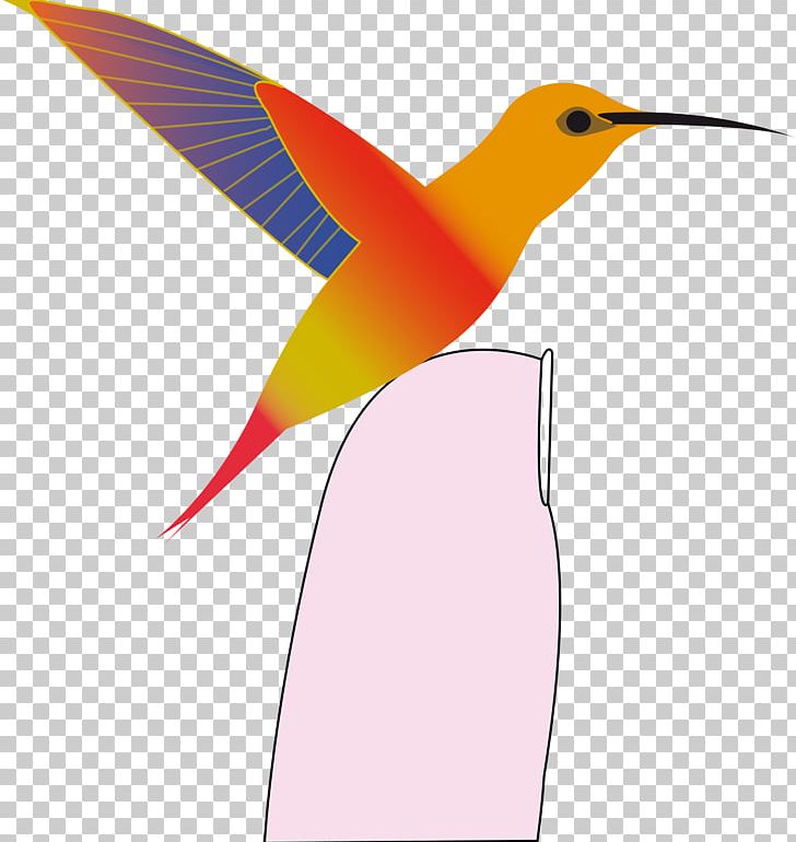 Hummingbird PNG, Clipart, Animals, Beak, Bird, Computer Icons, Decoupage Free PNG Download