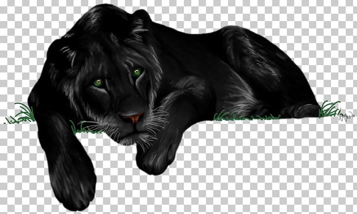 Lion Photography Drawing Art PNG, Clipart, Animals, Art, Big Cats, Black And White, Black Panther Free PNG Download