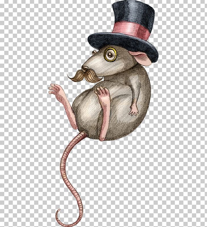 Rat Computer Mouse PNG, Clipart, Animal, Animals, Animation, Carnivoran, Cartoon Free PNG Download