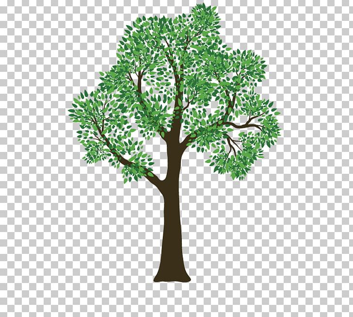 Rivas Tree Service Pruning PNG, Clipart, Architectural Engineering, Branch, Cartoon Trees, Euclidean Vector, Floor Free PNG Download