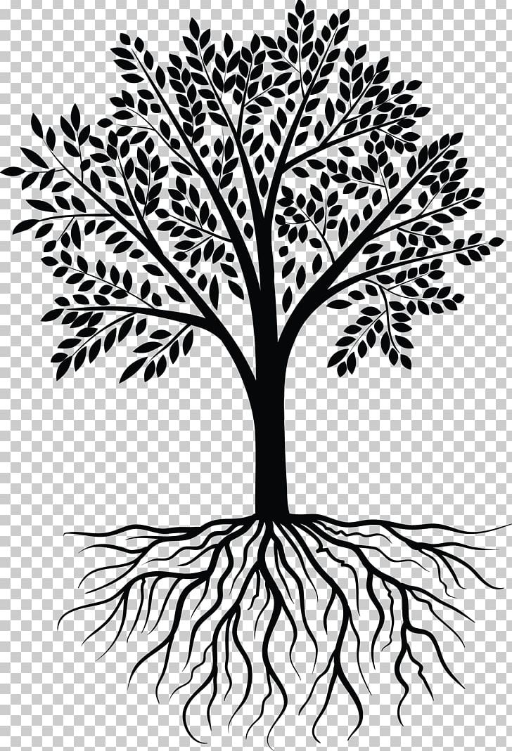 Tree Photography PNG, Clipart, Black And White, Branch, Clip Art, Company, Decal Free PNG Download