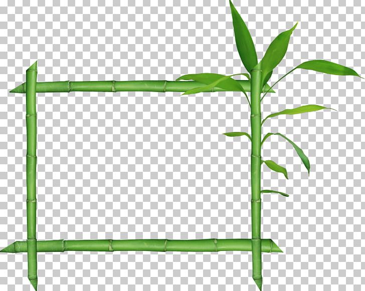 Bamboo Raster Graphics PNG, Clipart, Bamboo, Clip Art, Download, Film Frame, Frame Free PNG Download