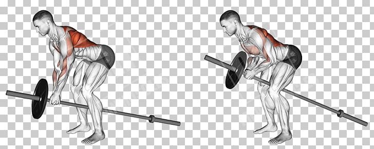 Bent-over Row Exercise Muscle Trapezius PNG, Clipart,  Free PNG Download