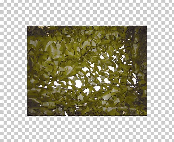 Camouflage Hide.net Hunting PNG, Clipart, Aquatic Plant, Avokauppa, Camouflage, Com, Customer Service Free PNG Download