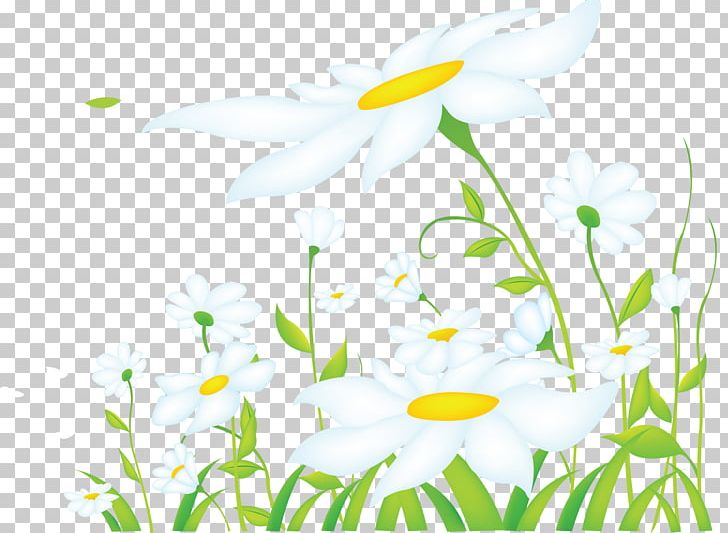 Megabyte PNG, Clipart, Branch, Camomile, Computer Wallpaper, Daisy, Deviantart Free PNG Download