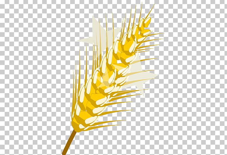 Dofus Cereal Common Wheat Wikia PNG, Clipart, Android, Cereal, Cereal Germ, Commodity, Common Wheat Free PNG Download