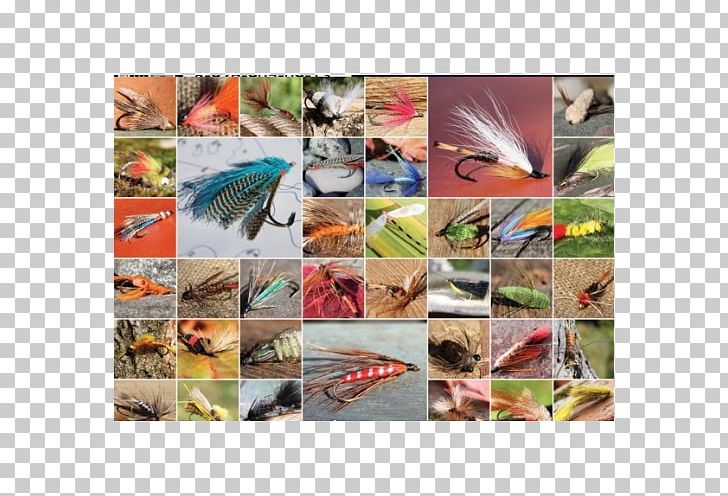 Jigsaw Puzzles Fly Fishing Outset Media Ravensburger PNG, Clipart, Artificial Fly, Autistic Spectrum Disorders, Collage, Fauna, Feather Free PNG Download