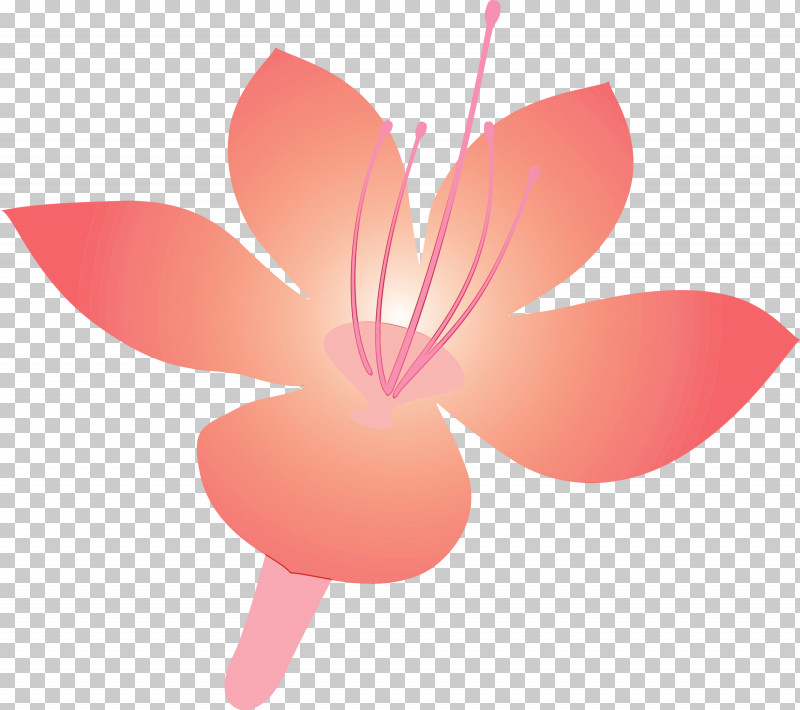 Petal Pink Flower Plant Magenta PNG, Clipart, Azalea, Azalea Flower, Flower, Logo, Lotus Family Free PNG Download