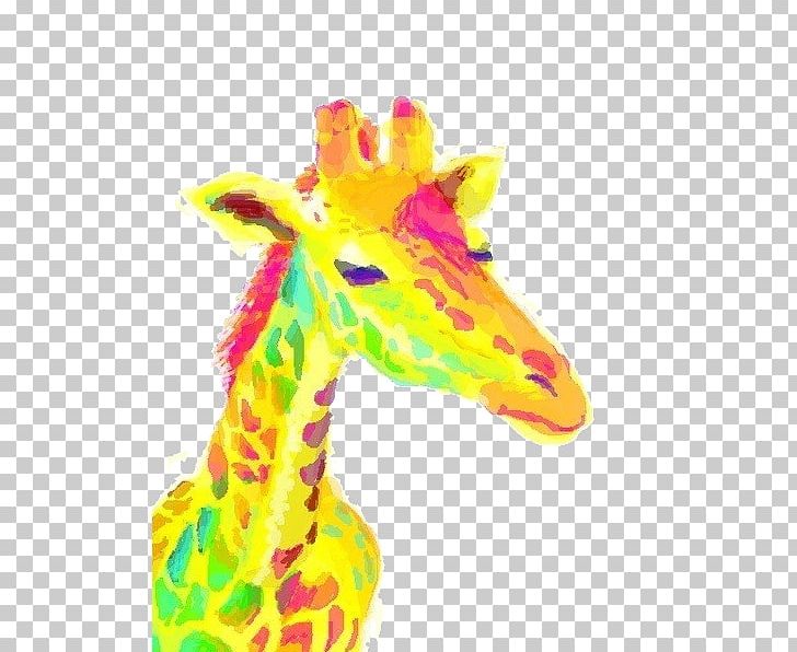 Northern Giraffe IPhone 4 PNG, Clipart, Animals, Apple, Cartoon, Decoration, Deer Free PNG Download