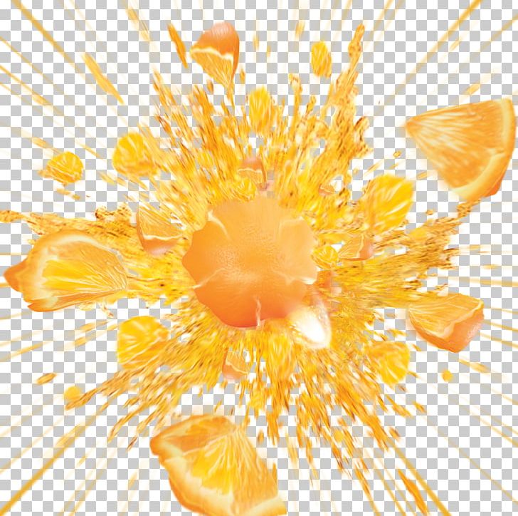 Orange Juice Fruit PNG, Clipart, Computer Icons, Computer Wallpaper, Cut Flowers, Decorative Patterns, Desktop Wallpaper Free PNG Download