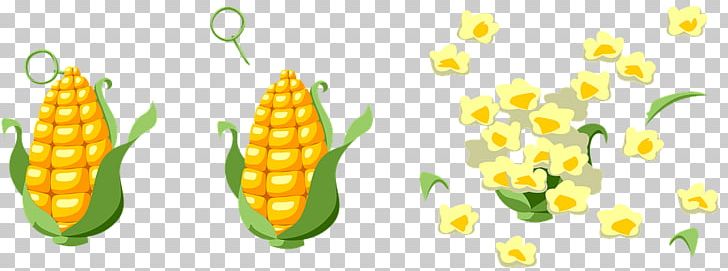 Popcorn Corn On The Cob Maize Vegetarian Cuisine Sweet Corn PNG, Clipart, Blue Corn, Commodity, Corncob, Corn Kernel, Corn On The Cob Free PNG Download