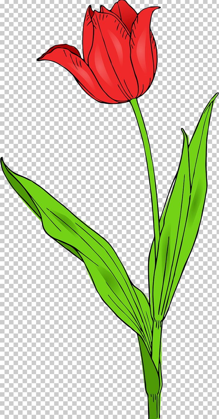 Tulipa Gesneriana Flower Free Content PNG, Clipart, Artwork, Blog, Bud, Computer Icons, Cut Flowers Free PNG Download