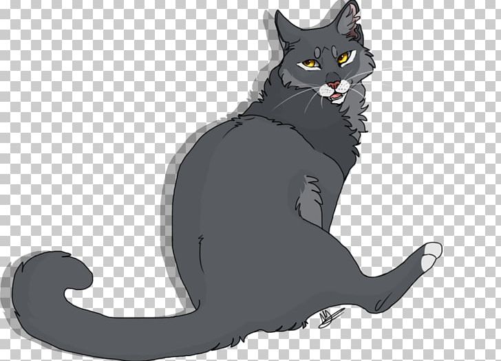 Korat Black Cat Kitten Whiskers Domestic Short-haired Cat PNG, Clipart, Animals, Black, Black Cat, Black M, Canidae Free PNG Download