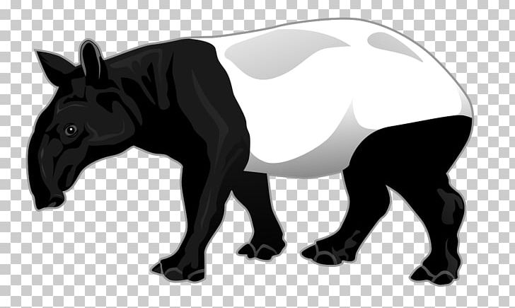 Malayan Tapir South American Tapir PNG, Clipart, Animal, Art , Black And White, Carnivoran, Clip Art Free PNG Download