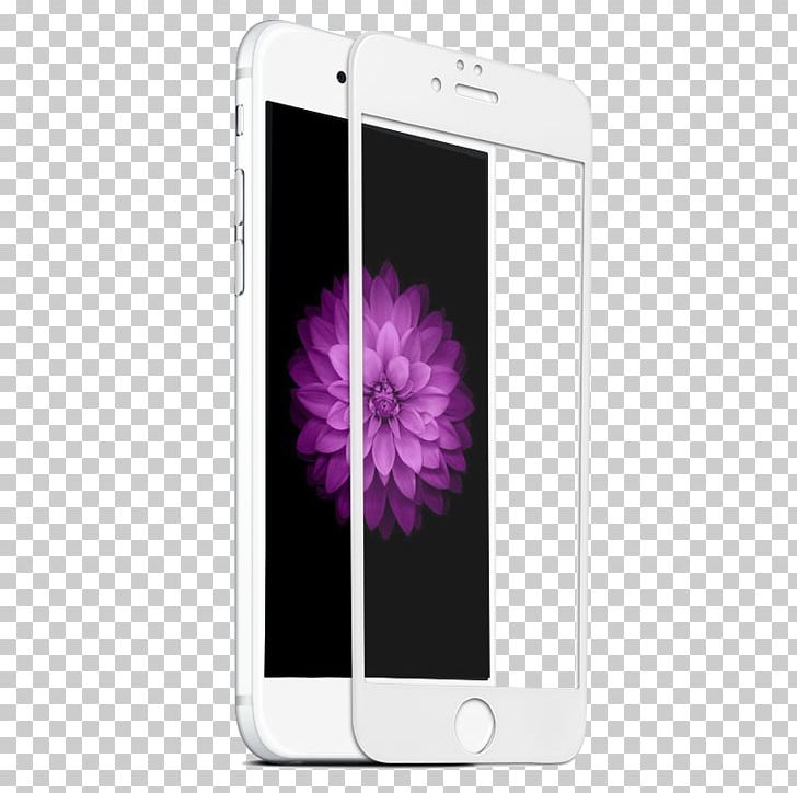 Apple IPhone 7 Plus Apple IPhone 8 Plus IPhone 5 IPhone 6 Plus Screen Protectors PNG, Clipart, 6 S, Electronic Device, Electronics, Flower, Gadget Free PNG Download