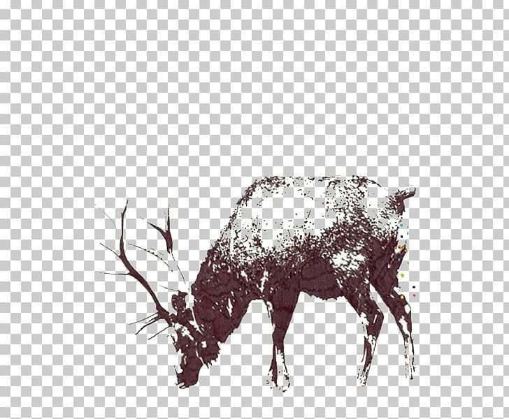 Cattle Bullfighting Bullfighter PNG, Clipart, Animals, Antler, Background Black, Black, Black And White Free PNG Download