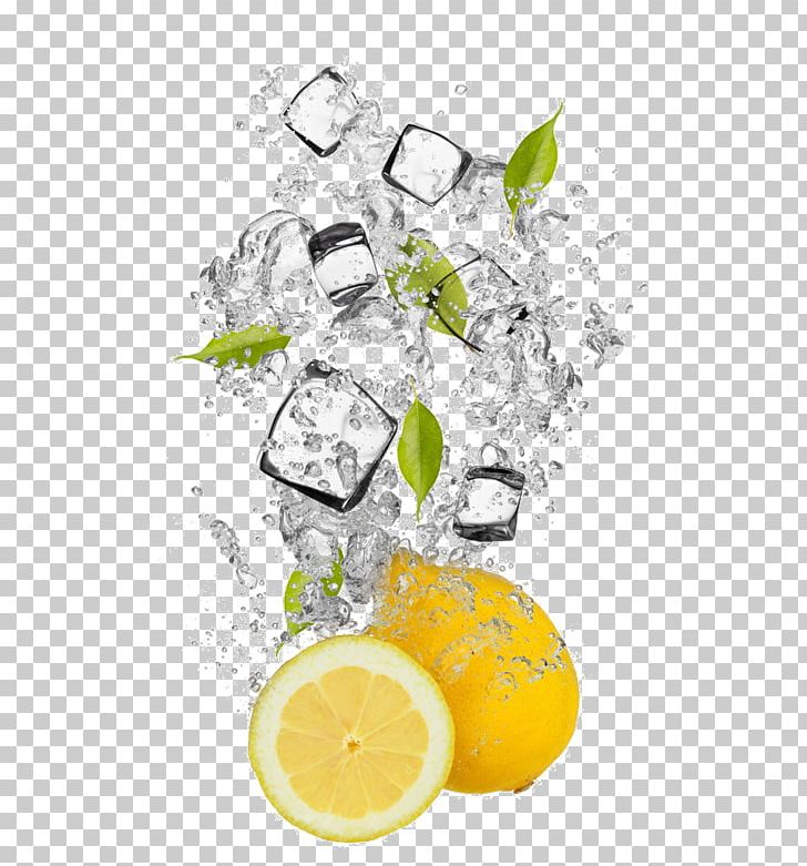 Frutti Di Bosco Fruit Ice Cube Mango PNG, Clipart, Cartoon, Citric Acid, Citrus, Creative Ads, Creative Artwork Free PNG Download