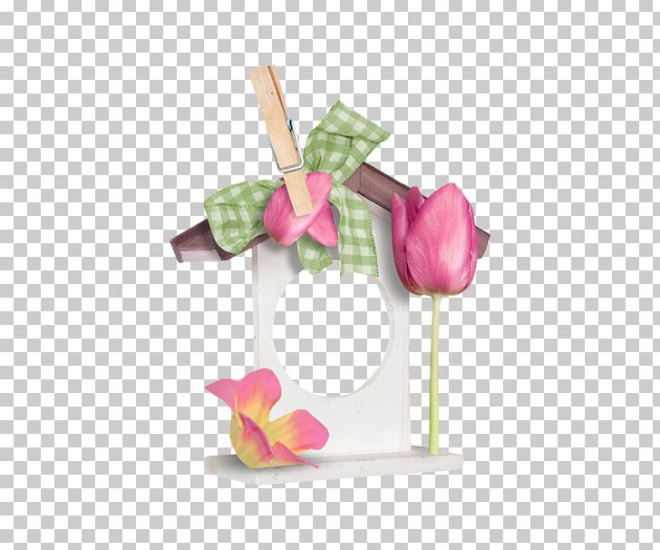 Petal Cut Flowers Internet Forum PNG, Clipart, Ahsap Cerceve, Cerceve, Cerceveler, Cerceve Resimleri, Cut Flowers Free PNG Download