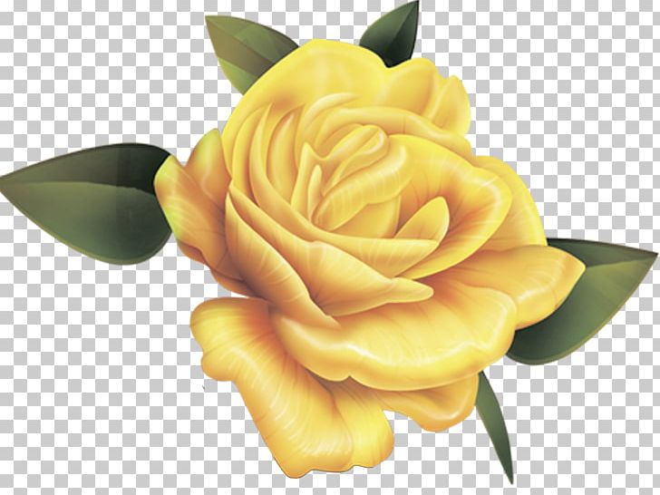 Rose Desktop Yellow Valentine's Day PNG, Clipart, Blue Rose, Color, Cut Flowers, Desktop Wallpaper, Flower Free PNG Download