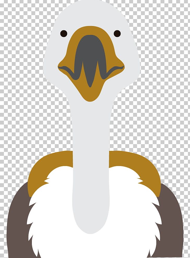 Common Ostrich Duck PNG, Clipart, Adobe Illustrator, Africa, Animal, Animals, Bird Free PNG Download