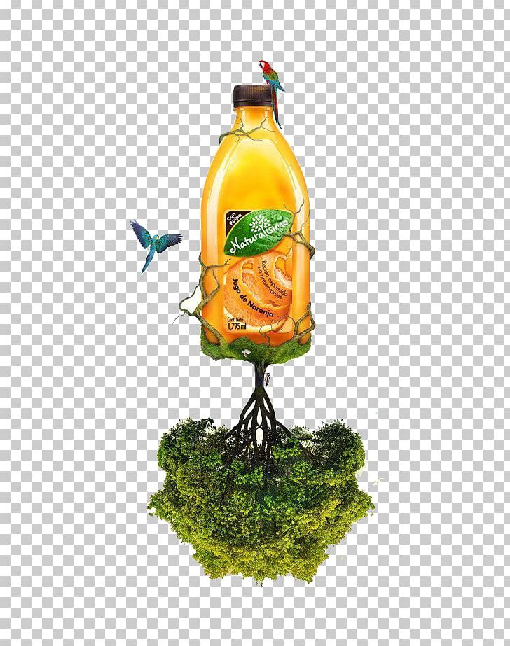Graphic Design Behance PNG, Clipart, Advertising, Apple Fruit, Behance, Bottle, Branches Free PNG Download