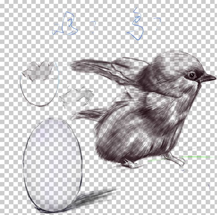 Bird Penguin PNG, Clipart, Animals, Artwork, Beak, Bird, Bird Cage Free PNG Download