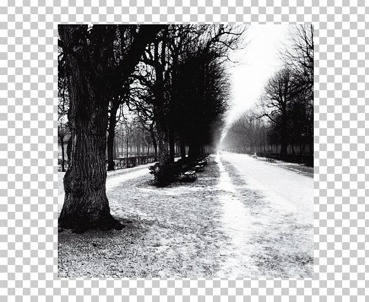 Black And White Slow Life Photography Deleted Titles PNG, Clipart, Architectural Engineering, Asphalt, Black And White, Branch, Com Free PNG Download