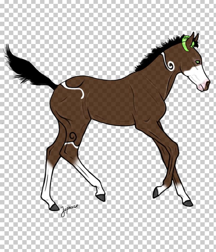 Foal Mane Stallion Pony Rein PNG, Clipart, Bridle, Colt, English Riding, Equestrian Sport, Foal Free PNG Download