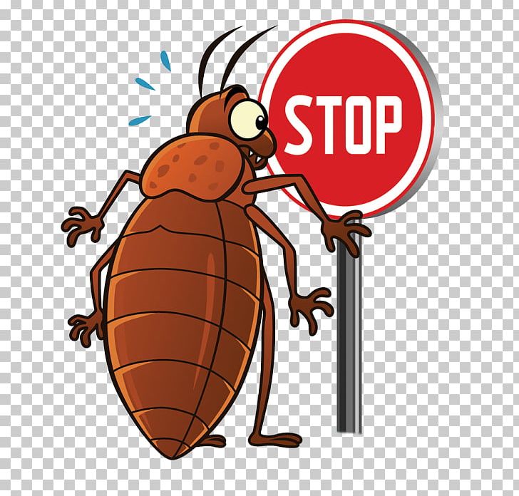 Insect Cockroach Bed Bug Pest Punaise Des Lits PNG, Clipart, Animals, Arthropod, Artwork, Bed, Bee Free PNG Download