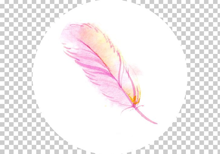 Pink M Feather Close-up PNG, Clipart, Animals, Closeup, Crop, Feather, Petal Free PNG Download