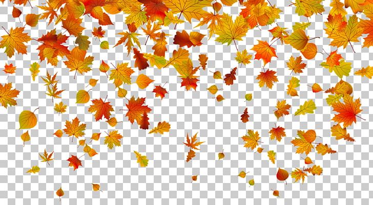 Autumn Leaf Color PNG, Clipart, Autumn, Autumn Leaf Color, Branch, Clipart, Clip Art Free PNG Download