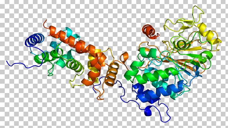 Calcineurin Phosphatase Protein Threonine Serine PNG, Clipart, Alkaline Phosphatase, Art, Calcineurin, Calcium, Calmodulin Free PNG Download