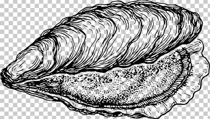Cockle Oyster Clam Fish Seashell PNG, Clipart, Animals, Artwork, Black And White, Clam, Clams Oysters Mussels And Scallops Free PNG Download