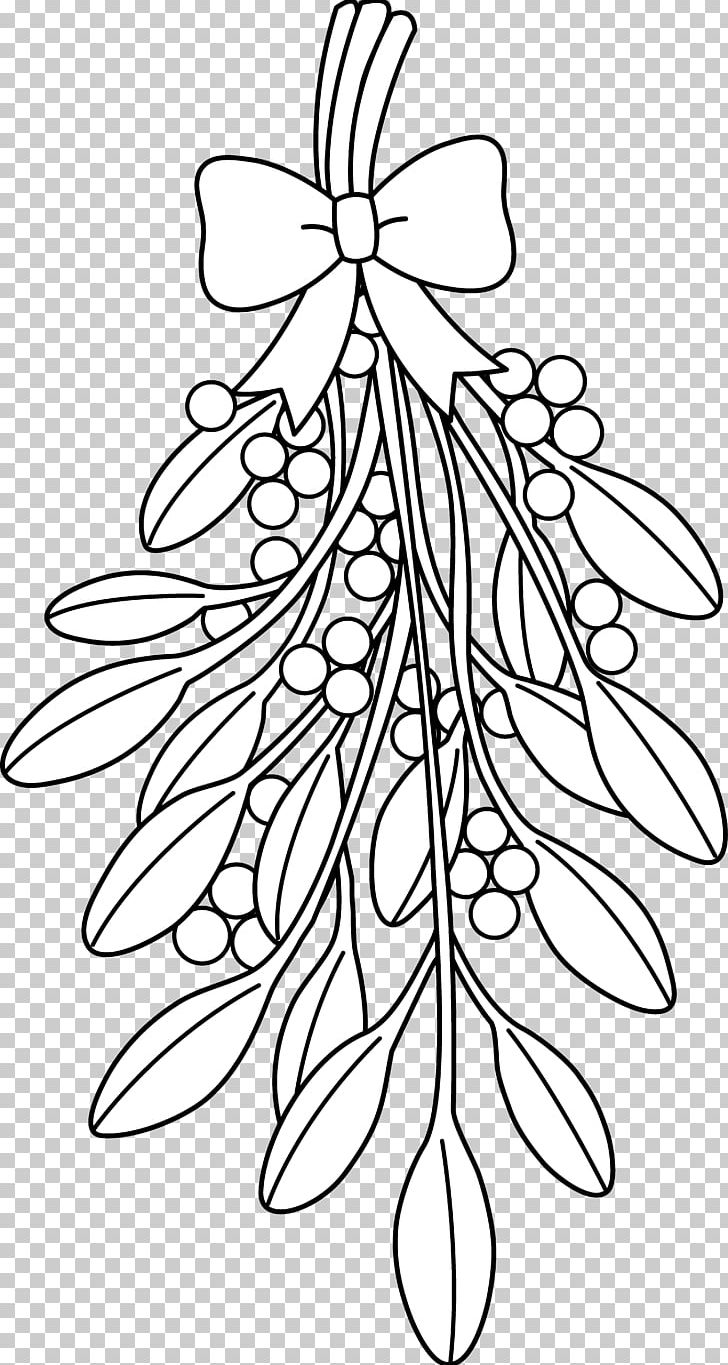 Mistletoe Coloring Book Drawing Tree Christmas PNG, Clipart, Book, Branch, Child, Christmas, Christmas Mistletoe Free PNG Download