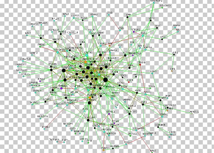 Signal Transduction GPR56 Neurotransmitter Cell Signaling MTOR PNG, Clipart, Angle, Area, Biological Pathway, Cell Signaling, Circle Free PNG Download