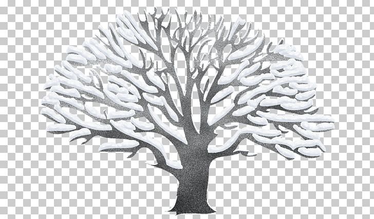 Tree PNG, Clipart, Black And White, Branch, Document, Download, Icy Free PNG Download